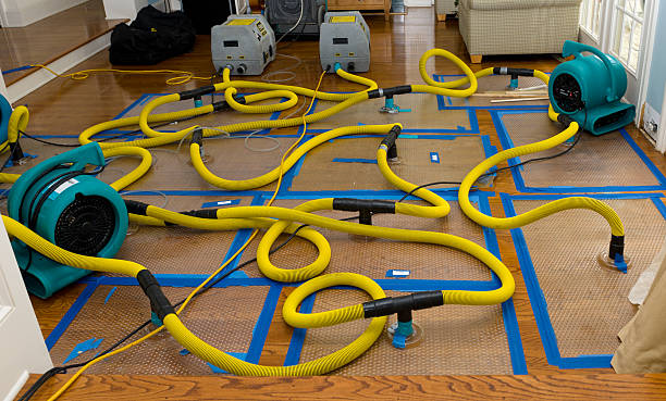 Professional Basement Flood Cleanup technician working in Rockland, DE